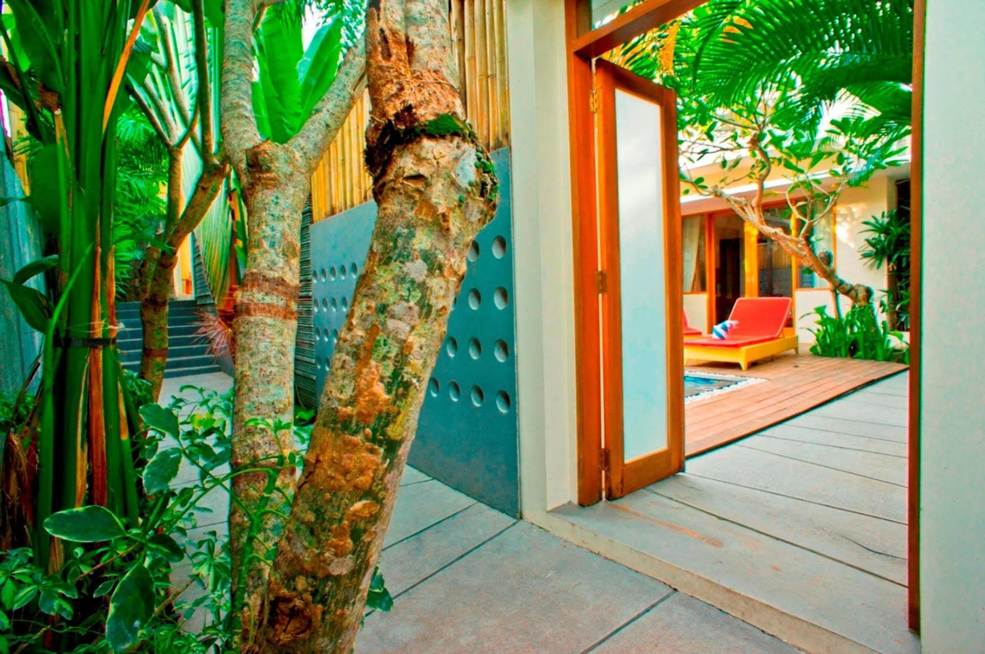 Villa Travis Семиньяк Экстерьер фото